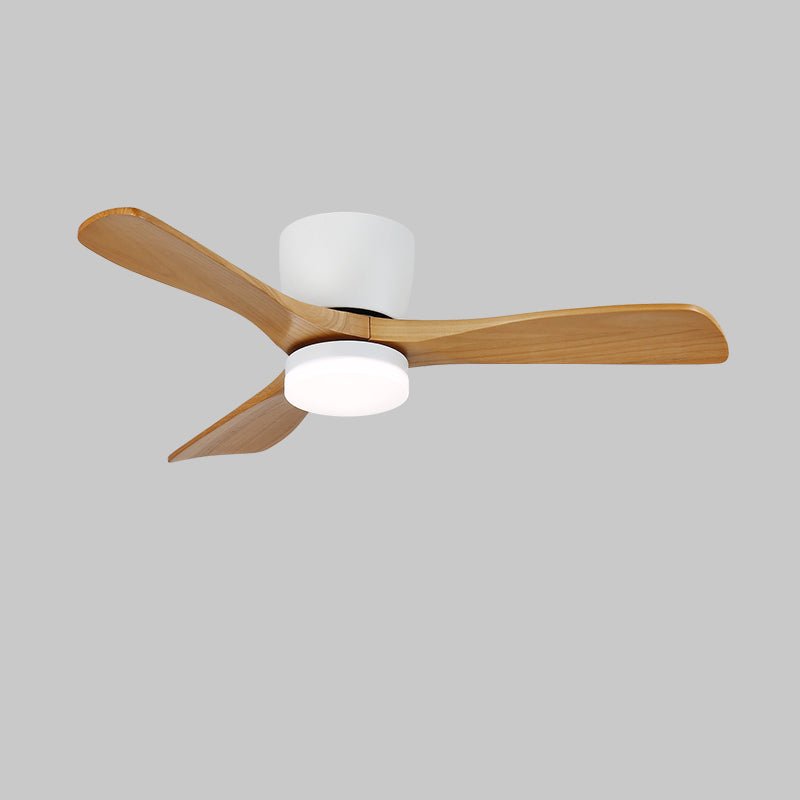 Aerodynamics Ceiling Fan with Light