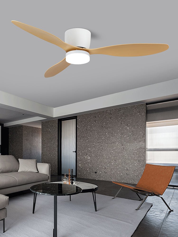 Aerodynamics Ceiling Fan with Light