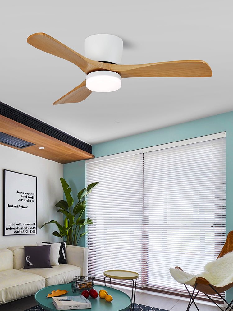 Aerodynamics Ceiling Fan with Light