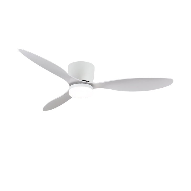 Aerodynamics Ceiling Fan with Light