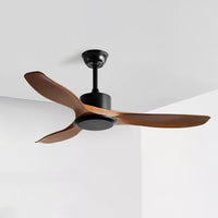 Ceiling Fans