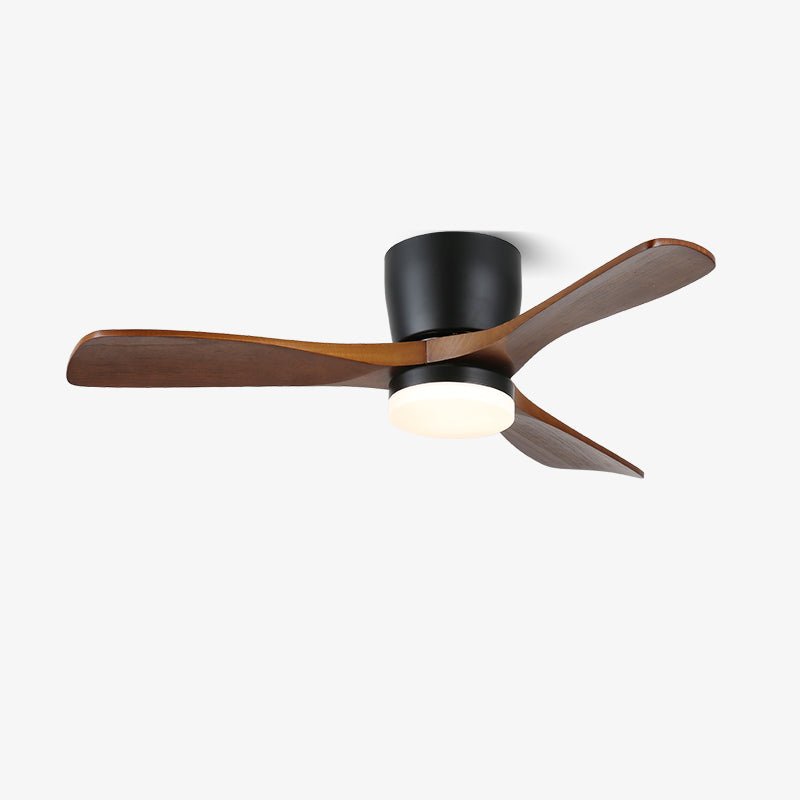 Aerodynamics Ceiling Fan with Light
