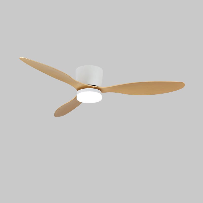 Aerodynamics Ceiling Fan with Light