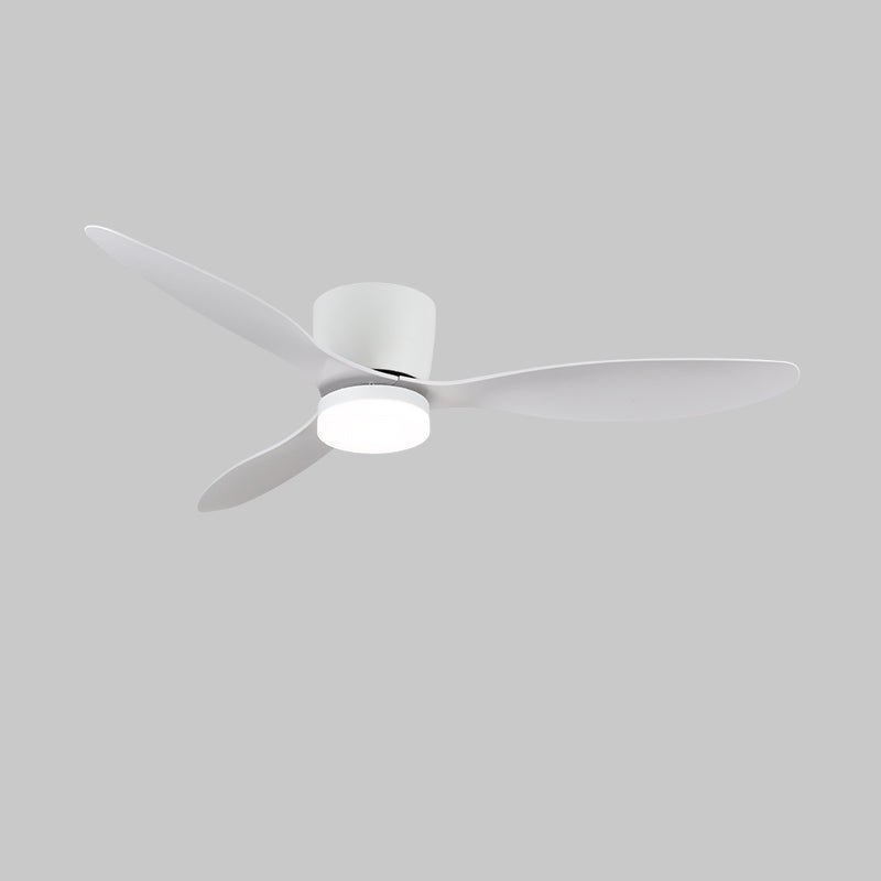 Aerodynamics Ceiling Fan with Light